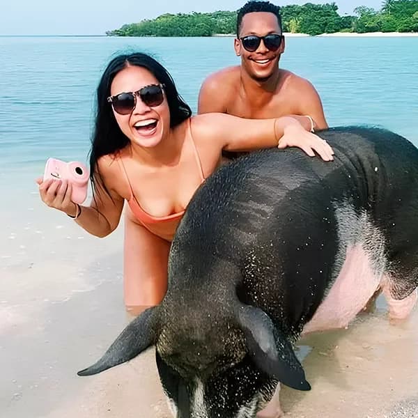 listing card gallery