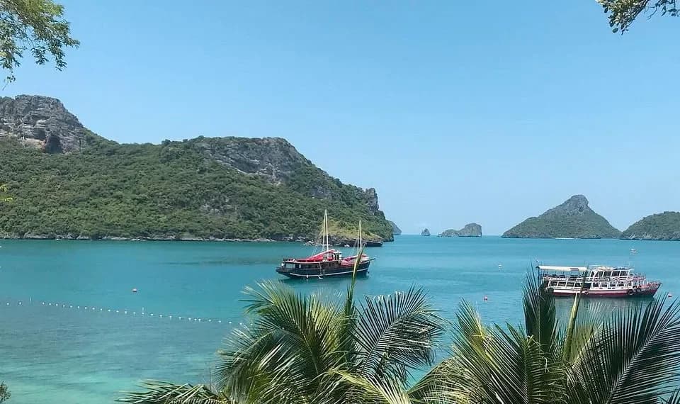 listing card gallery